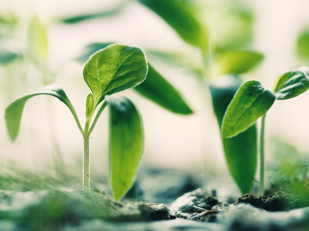 On Growing Past My Limitations