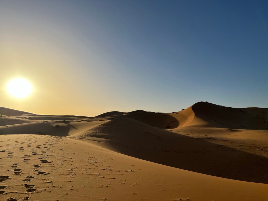 Searching for Sea Creatures in the&nbsp;Desert