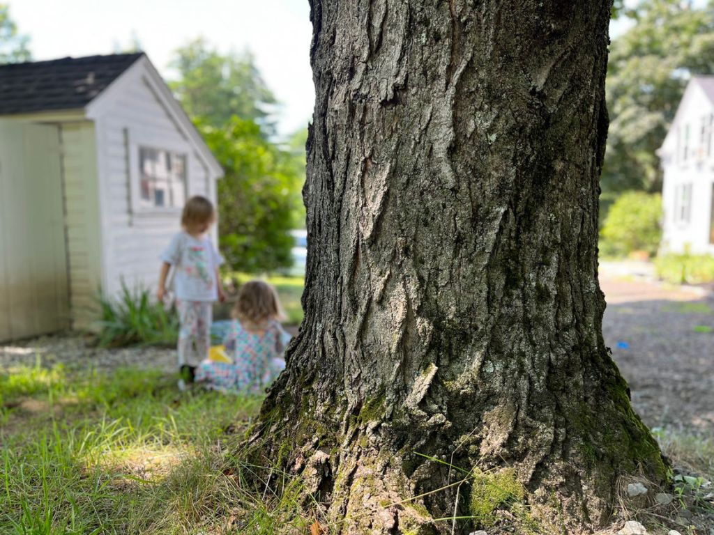 Playing In the Shelter of the Burning&nbsp;Bush